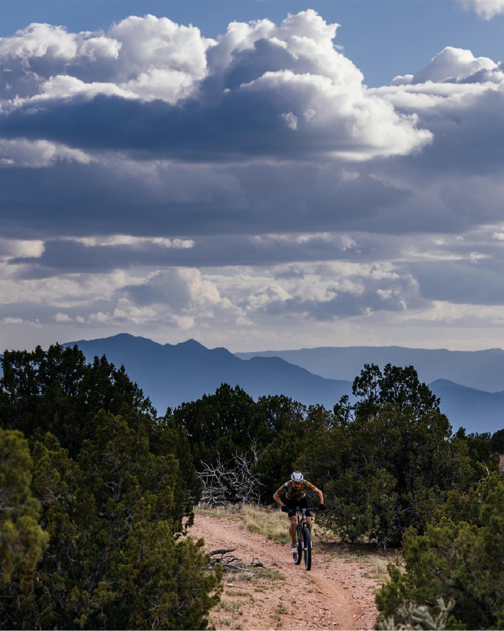 New Mexico Singletrack